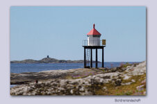 IMG_6386.jpg IMG_6386.jpg