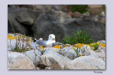 IMG_6399_2.jpg IMG_6399_2.jpg