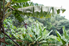 20130404-IMG_3969.jpg