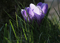 IMG_0856a_DSLR.jpg