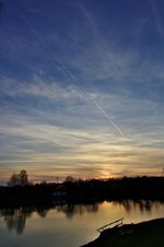 IMG_8972_0004.jpg