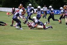 IMG_2337.jpg