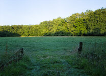 Unbenanntes_Panorama4e.jpg