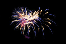 IMG_9247.jpg