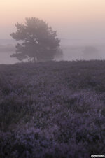 IMG_4690_PS_entwickelt.jpg