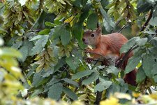D71_6929_crop_cnx_0.jpg