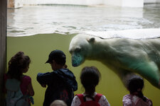 20080710-IMG_2767.jpg