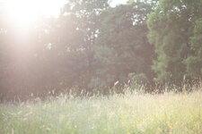 20090531-IMG_4044.jpg