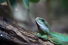20100627-IMG_5618.jpg