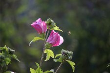 55-250_Test_03.jpg