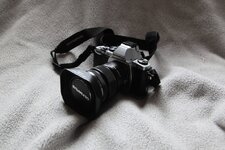 IMG_4729.JPG
