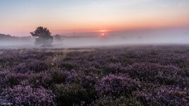 comp_IMG_7924_1.jpg