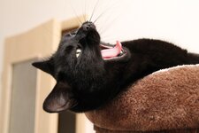 IMG_0014dslr.jpg