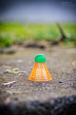 DSC_1416 500.jpg