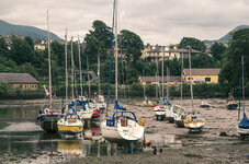 DSCF5125.jpg