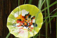 DSC00565_crop.JPG