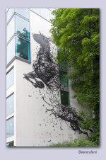 IMG_6308.jpg IMG_6308.jpg