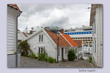 IMG_6321.jpg IMG_6321.jpg