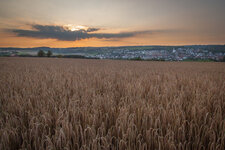 IMG_5579.jpg