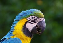Sigma 18-250_3.jpg