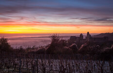 IMG_4168-3_filtered.jpg IMG_4168-3_filtered.jpg