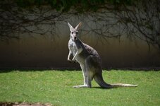 DSC_0021_2.jpg