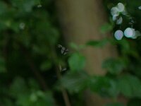 img_7057_passig_gemacht.jpg