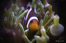 EOS 50D_02606_04_17_2014.jpg