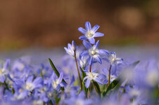 DSC_9270_forum.jpg