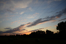 WO_HI Nikon 20140812_3.jpg