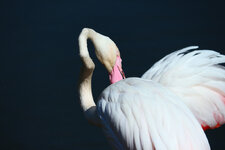IMG_7872_f.jpg