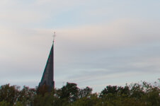 DSC_5301.JPG