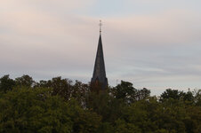 DSC_5303.JPG