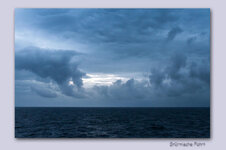 IMG_6346.jpg IMG_6346.jpg