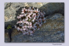 IMG_6377.jpg IMG_6377.jpg