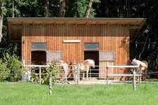 DSCF1806 - Arbeitskopie 3.jpg
