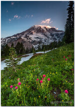 rainier-6.jpg