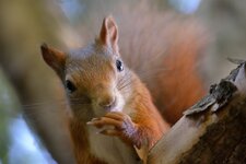 comp_DSC_8201.jpg