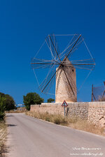 webforen_crw_08877.jpg