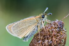 comp_EOS 5D Mark III_5229-Bearbeitet - LR4.jpg