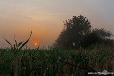 DSC00286.jpg