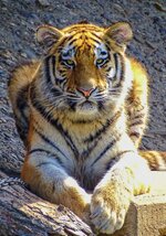 DSC00372-1-Edit.jpg
