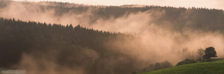 blog_Nebelwald_Panorama1.jpg blog_Nebelwald_Panorama1.jpg