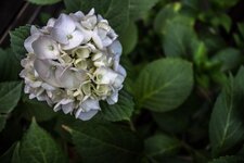 IMG_1612 klein.jpg