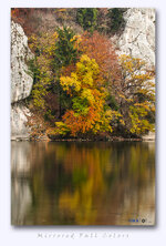 Donau_2012-11-02_011_.jpg