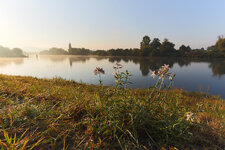 HD Schwabenheimer Schleuse HDR.jpg