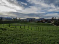 IMG_0019-conv.jpg