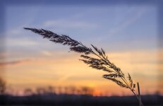 comp__g.jpg comp__g.jpg