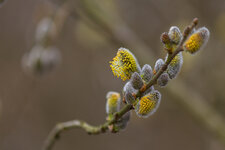 IMG_6646.jpg