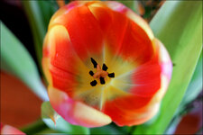 IMG_0176_DSLR.jpg